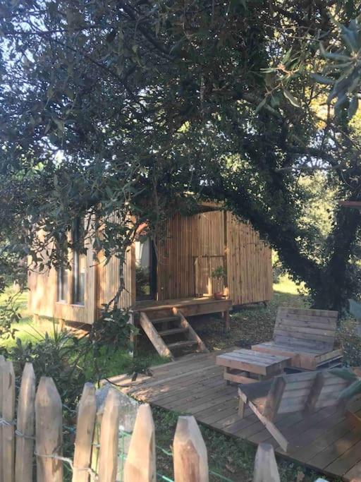 Ma Cabane Sous Les Arbres Soulac-sur-Mer Exterior foto